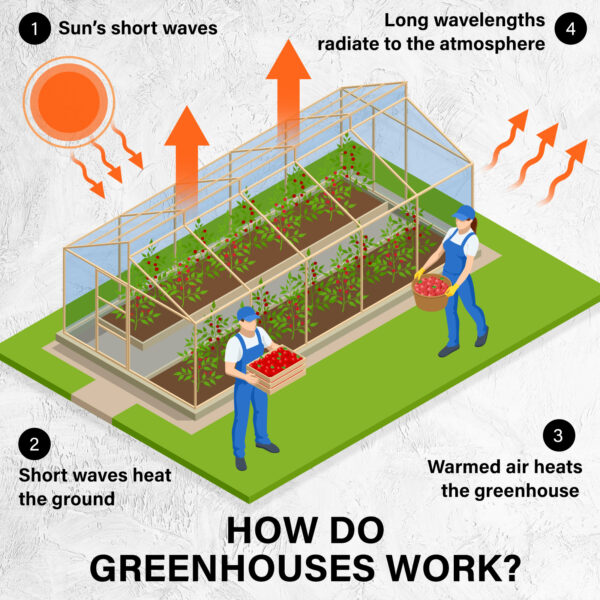 Home Ready Apex Mini Garden Greenhouse Shed PVC 4 Tier